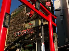 -鎌倉茶々(本店)