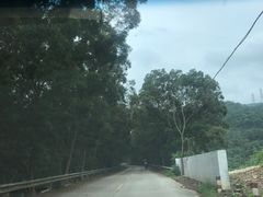 -桂山风景旅游区