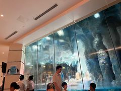 -帝企鹅自助餐厅•儿童岛•真企鹅(长隆企鹅酒店)