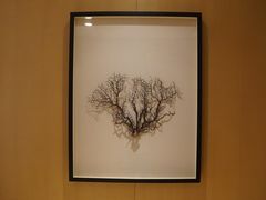 -成都蒲江花样年福朋喜来登度假酒店·宜客乐西餐厅