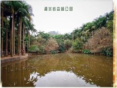 -滴水岩森林公园