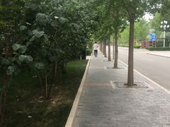 -东亿天弘演播大厅