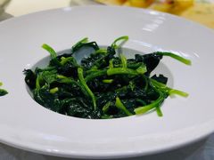 清炒菠菜-麟1929(外滩店)