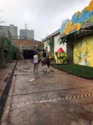 -宝燕乐园(闵行旗舰店)