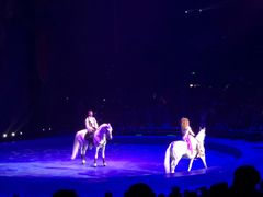 -珠海横琴长隆《卡卡虎奇遇记》