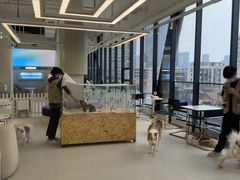 -怪兽屋·羊驼·猫咖·狗咖(俊华广场店)