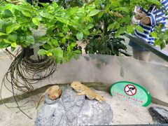 -广州长隆飞鸟乐园