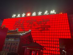 -中街·盛京龙城