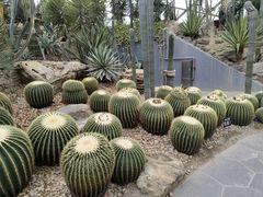 -上海辰山植物园