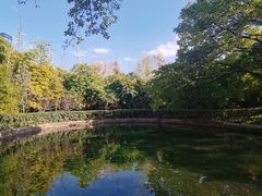 -望江楼公园