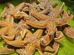 -鼎香缘海鲜自助火锅烤肉(锦辉购物广场店)