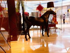 -苏浙总会(国金中心店)