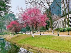 -华为成都研究所-U1