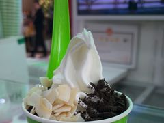 -Salud撒露欧洲冻酸奶(五道口购物中心店)