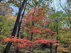 -丹东天桥沟景区