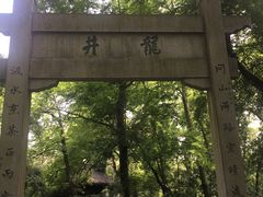 -龙井村