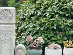 -南京市江宁方山