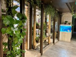 -青青一生美皮肤管理