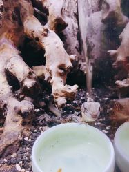 -酷嗒动物文化乐园(cutezoo西溪乐天城店)