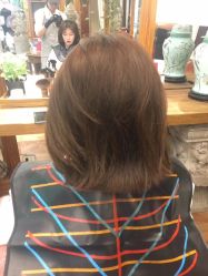 -Every Day Hair Studio