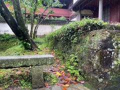 -宁波市保国寺古建筑博物馆