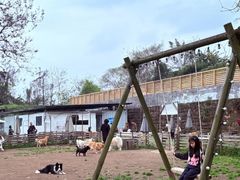 -趣多多宠物公园·宠物训犬学校·宠物寄养