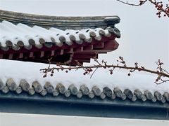 -水西公园
