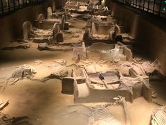 -洛阳周王城天子驾六博物馆