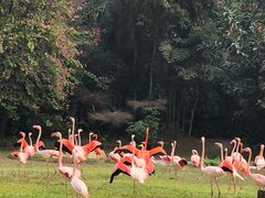 -广州天河希尔顿酒店