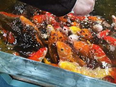 -上海大自然野生昆虫馆(东方明珠·爬宠昆虫探索中心)