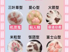 -翊宠yipet猫狗购宠庄园犬舍•猫舍