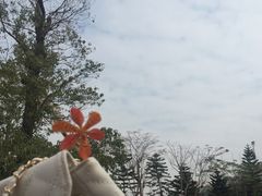 -美的鹭湖探索王国