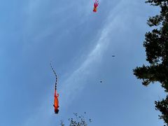 -绿堤公园