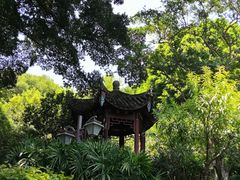 -乌山风景区