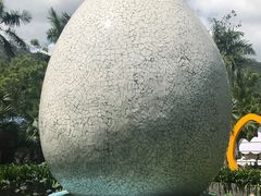 -100蛋泥浆浴