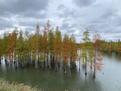-白鹭湾湿地公园
