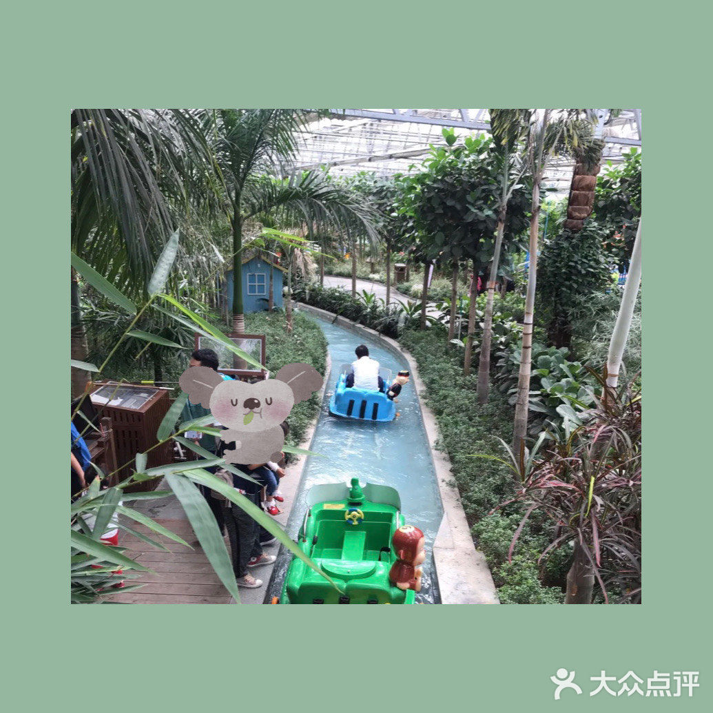 美丽世界——南宫五洲植物乐园