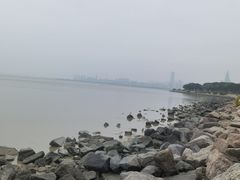 -深圳湾公园(南山区)