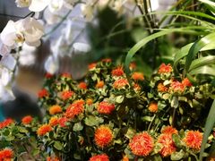 -春暖花开(西溪店)