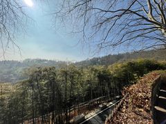 -莫干山风景区