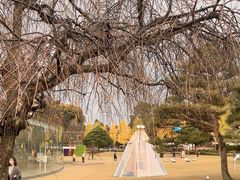 -金泽21世纪美术馆