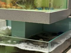 -至尊鲨鱼·原烹海鲜·新浙菜(拱宸桥店)