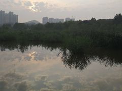 -前关湿地公园
