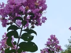 -苏州河梦清园环保主题公园