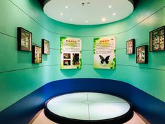 -上海昆虫博物馆