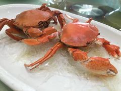 -渔鸽皇酒楼(鸿大广场店)