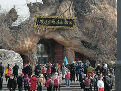 -大槐树寻根祭祖园