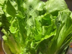 -九田家黑牛烤肉料理(华侨城店)