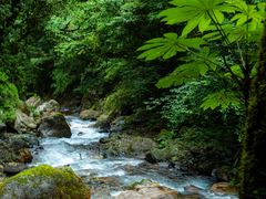 -西岭雪山大飞水景区