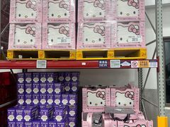 -山姆会员商店(上海浦东店)